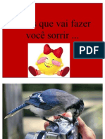 Fotos Que Vai Fazer Voce Sorrir