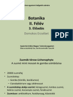 Eloadas KT Botanika II Felev 2019-2020