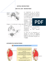 Sistema Respiratorio