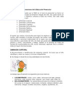 Dimensiones Del Desarrollo Infantil