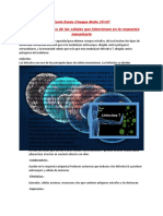 Análisis Descriptivo de Las Células Que Intervienen en La Respuesta Inmunitaria