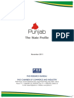Punjab: The State Profile