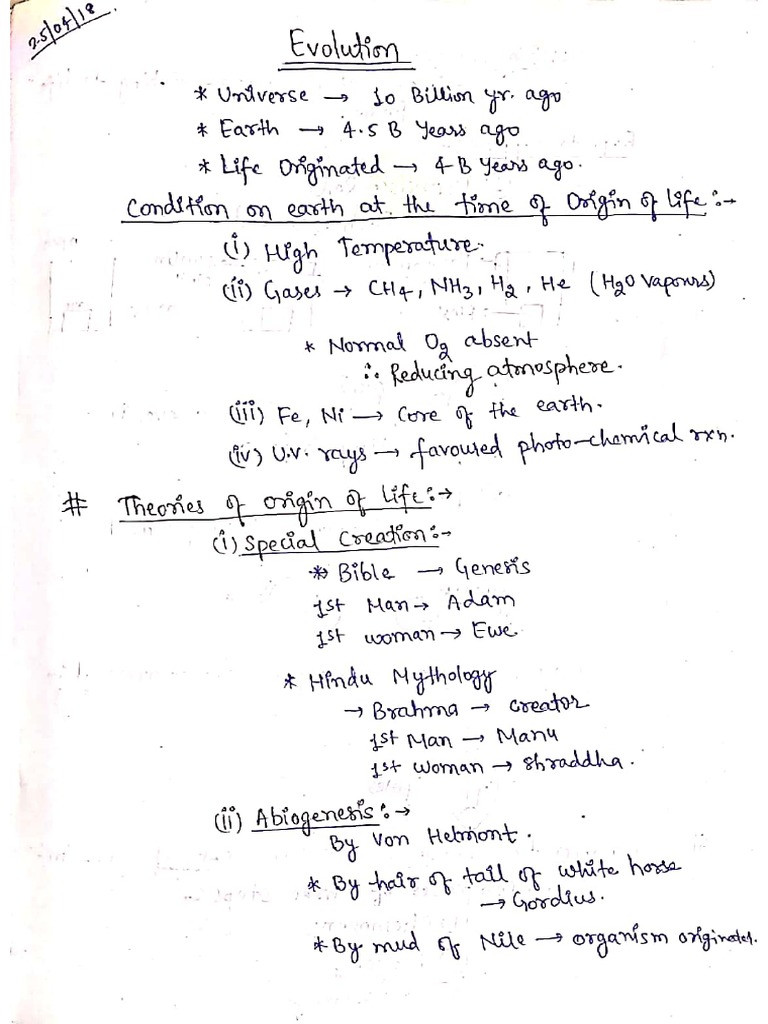 Origin and Evolution | PDF