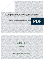 Comportamento Organizacional - Capitulo 1