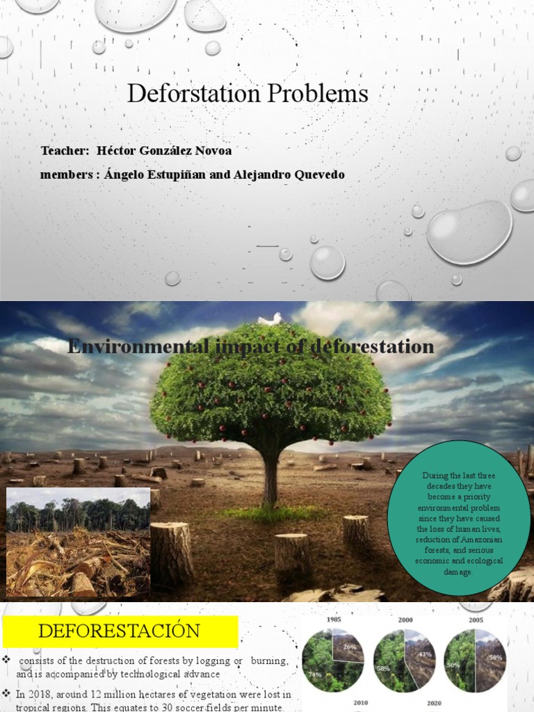 Deforestation: Causes and Solutions | PDF | Deforestation | Forests