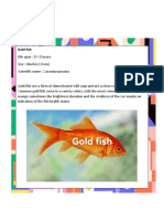 Gold fish, squid, seahorse, sharks, octopus, crabs, starfish, jellyfish facts