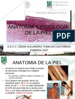 Anatomia y Fisiologia de La Piel (I) 2021