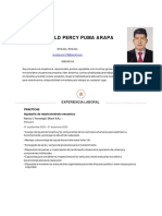 Curriculum Vitae Ronald Puma