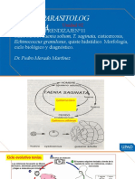 CESTODOS12-PRACTICA2