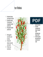 Memahami Karakter Pancasila Melalui Pohon Refleksi
