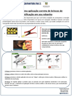 Aplicação correta do brinco de identificação em rebanhos