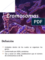 TEORÍA 2 URP - CROMOSOMAS Y TÉCNICAS DE ANÁLISIS_2018-2