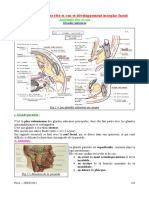 Spé 12 - 09 - Glandes Salivaires