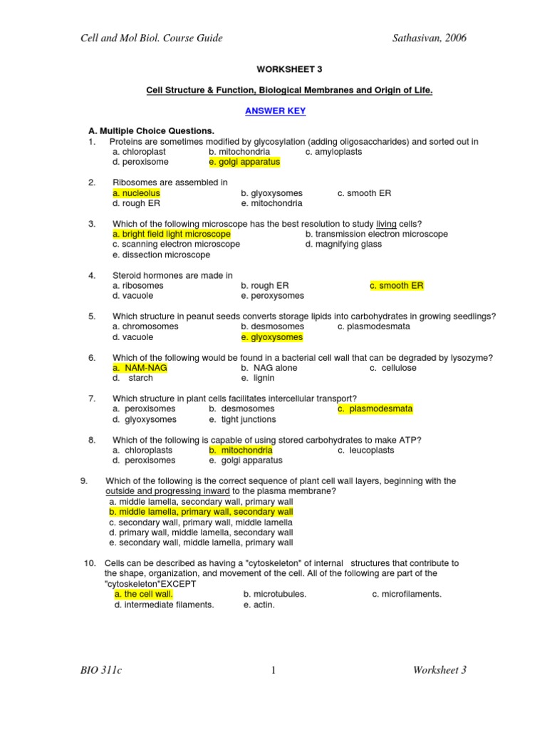 Cell Biology Worksheet: Structure & Function | PDF | Cell (Biology ...