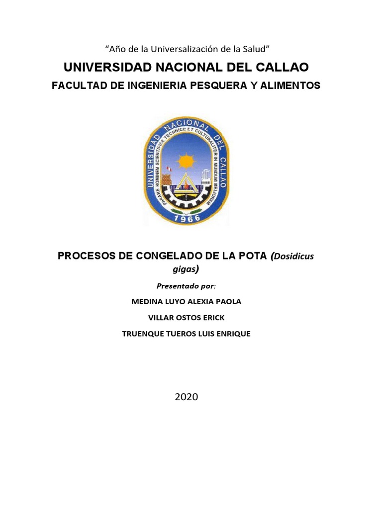 Flujo de La Pota | PDF | Comida y bebida | Materiales