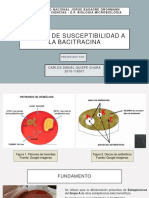 Prueba de Susceptibilidad A La Bacitracina Carlos Quispe