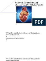 Structure of The Heart