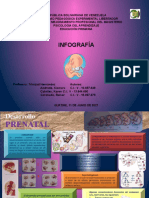 Infografia Desarrollo Prenatal