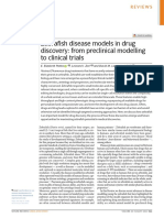 Zebrafish Disease Models in Drug Discovery From Preclinical Modelling To Clinical Trials