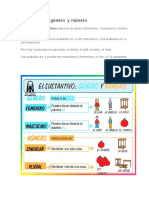 El Sustantivo Género y Número