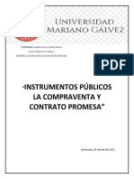 Tarea Terminados 2 Instrumentos Publicos