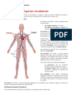 Aparato Circulatorio