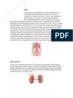 Explicación de Helmintos