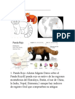 Datos sobre el Panda Rojo (Ailurus fulgens