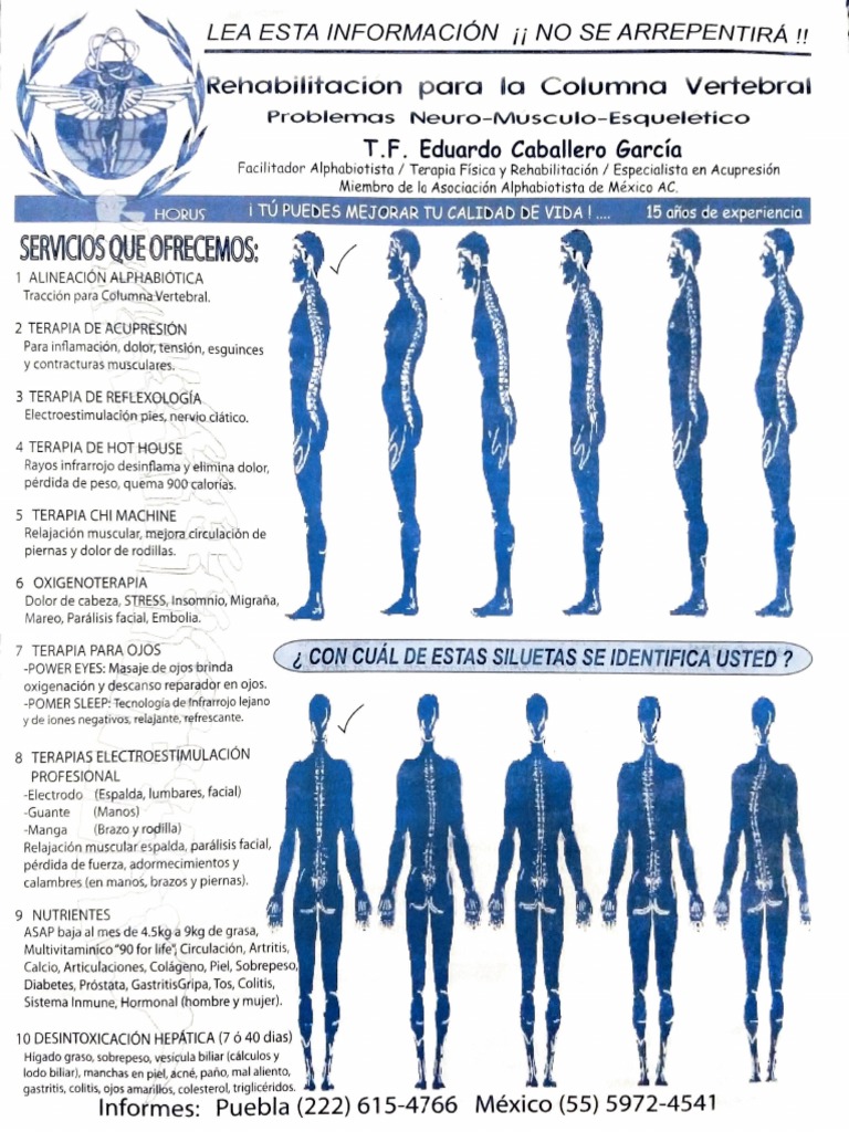 Rehabilitación para La Columna Vertebral | PDF | Sistema digestivo ...
