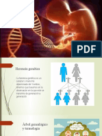 Patrones de Herencia