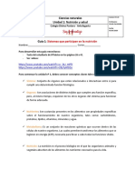 Guia 1 8º Sistemas Que Participan en La Nutrición