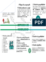 Estudio de Viabilidad (Toribio Malpartida Joselyn)