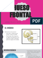 Hueso Frontal