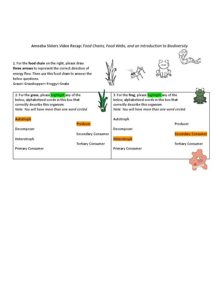 Amoeba Sisters Video Recap: Food Chains, Food Webs, and An Introduction To  Biodiversity | PDF | Food Web | Environmental Social Science, image size:768x1024