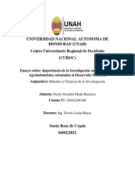 Ensayo Sobre La Investigacion en Los Proyectos Agroindustriales en Honduras - Nesly Mejia