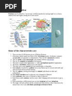 Protozoa Definition: Protozoa May Be Defined As "Microscopic Acellular Animalcules Existing Singly or in Colonies