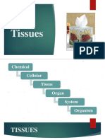 Lesson 3 Tissue