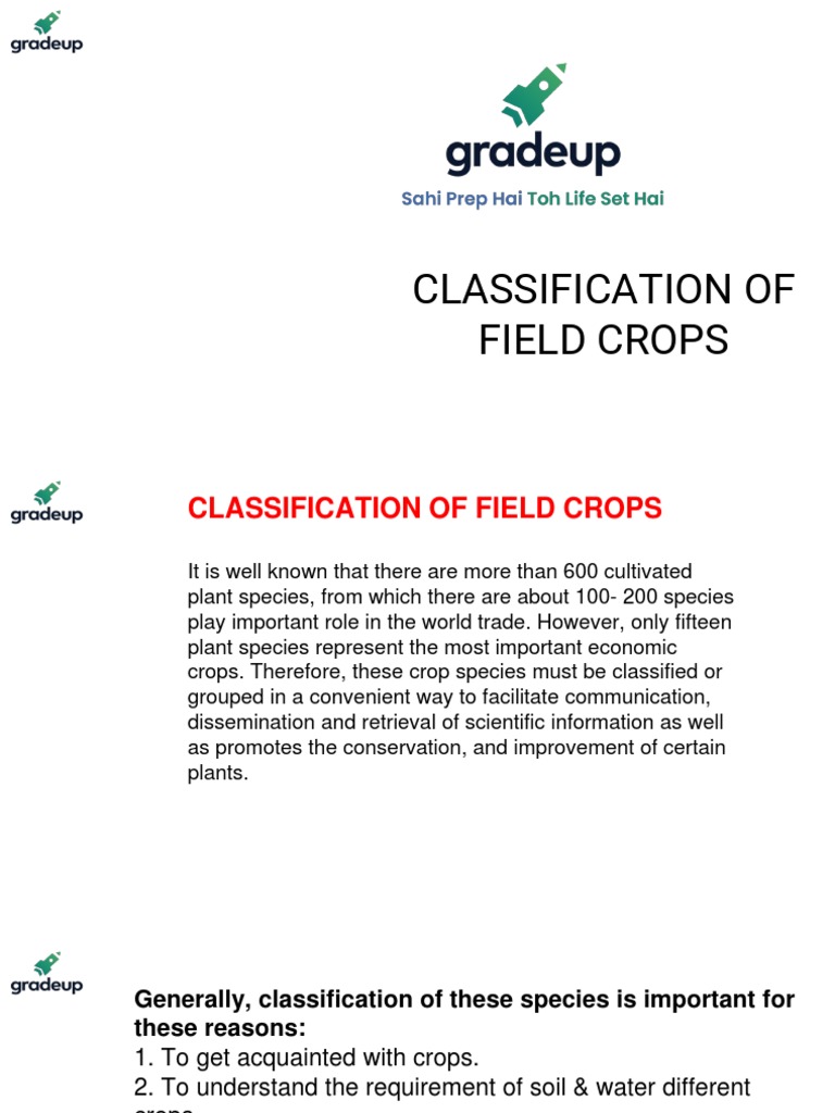 Classification of Field Crops | PDF | Legume | Cereals