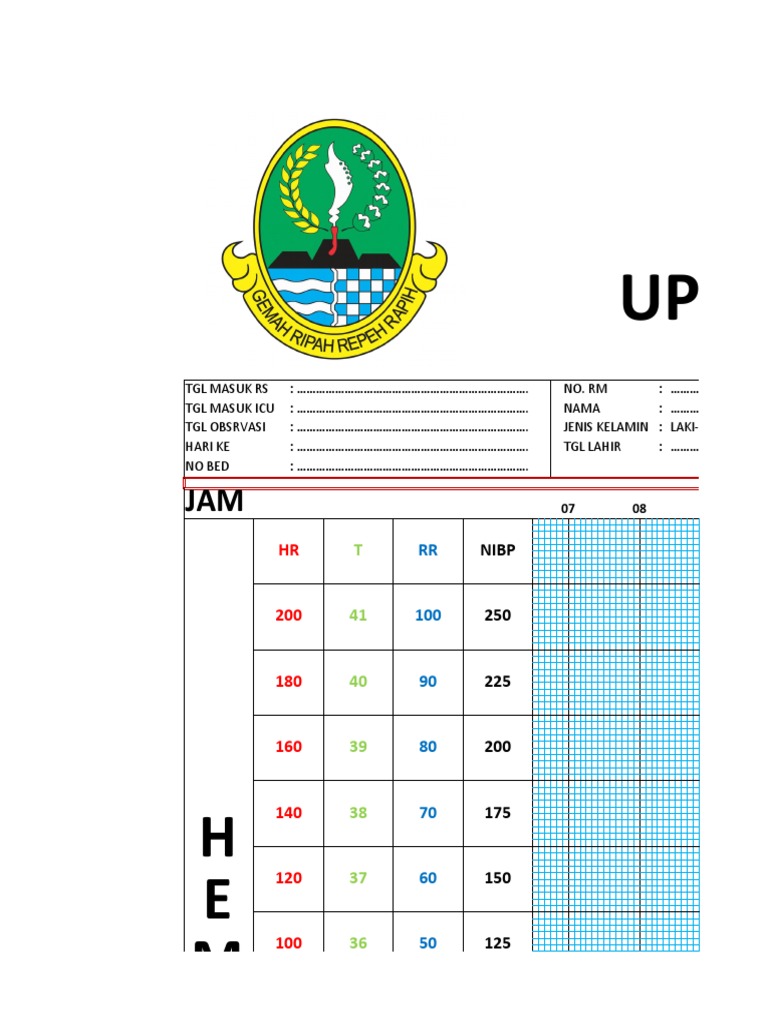 ICU Observation Chart Template | PDF | Clinical Medicine | Intensive ...