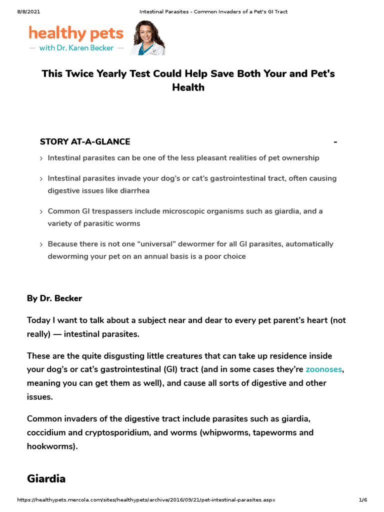 Intestinal Parasites - Common Invaders of A Pet's GI Tract | PDF