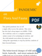 Impact of Pandemic On Flora and Fauna