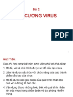 Bài 2 - Đ I Cương Virus - K52