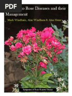 A Guide To Roses Diseases and Their Management