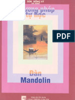 Hoc Dan Mandolin