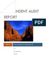 Independent Audit Report CIA 1