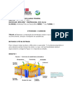 Andressa Pinto de Souza Brito - Trilha 4 - Membrana Plasmática - Atividade