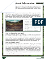 Rainforest Deforestation Sudent Worksheet