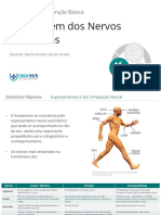 2.abordagem Dos Nervos Perifericos