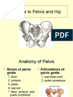 Injuries to Pelvis and Hip