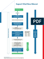 Poster Babies NLS Algorithm Ro